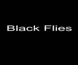 upcoming hollywood movie Black Flies