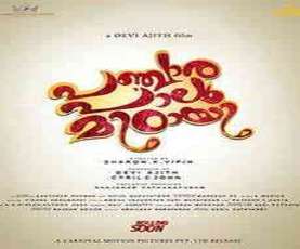 upcoming hollywood movie Panchara Paalu Mittayi