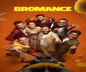 upcoming hollywood movie Bromance