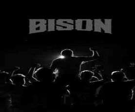 upcoming hollywood movie Bison