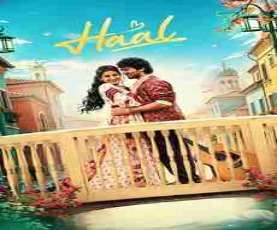 upcoming hollywood movie Haal