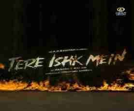 upcoming hollywood movie Tere Ishk Mein
